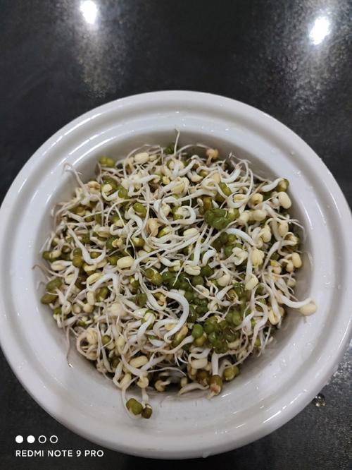 纯天然食品 大自然的馈赠，健康的守护者
